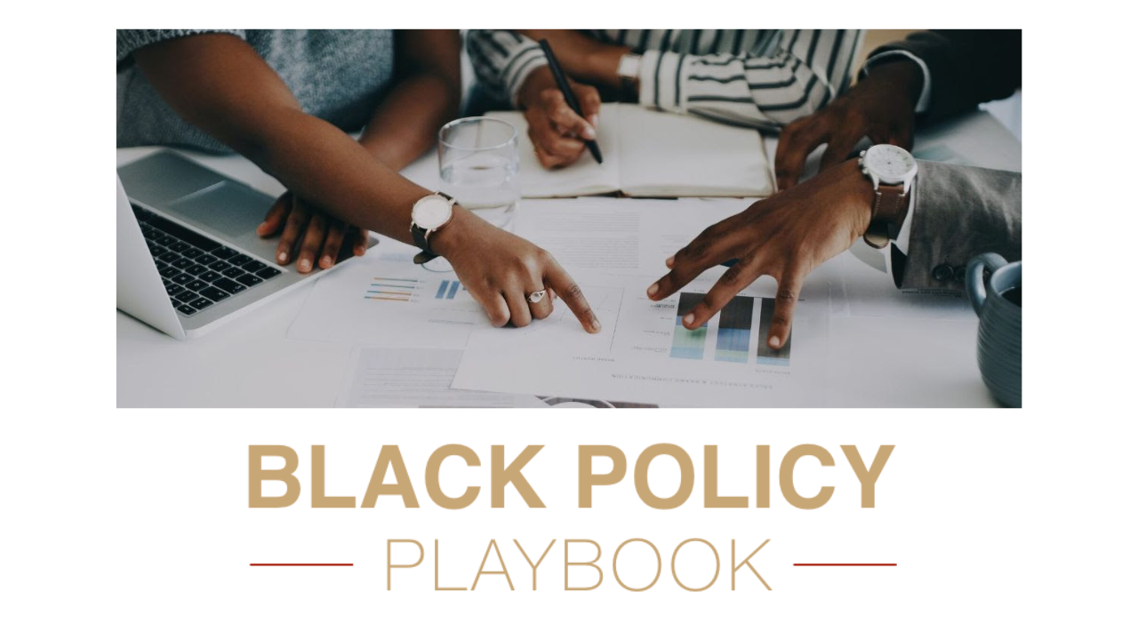 Black Policy Playbook